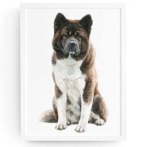 Watercolor Akita Dog Portrait Wall Art Print, Unframed - Majestic Canine Charm